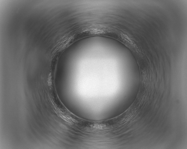 X0000058770549200510171229
