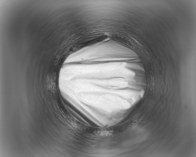 X0000058770553200510171229