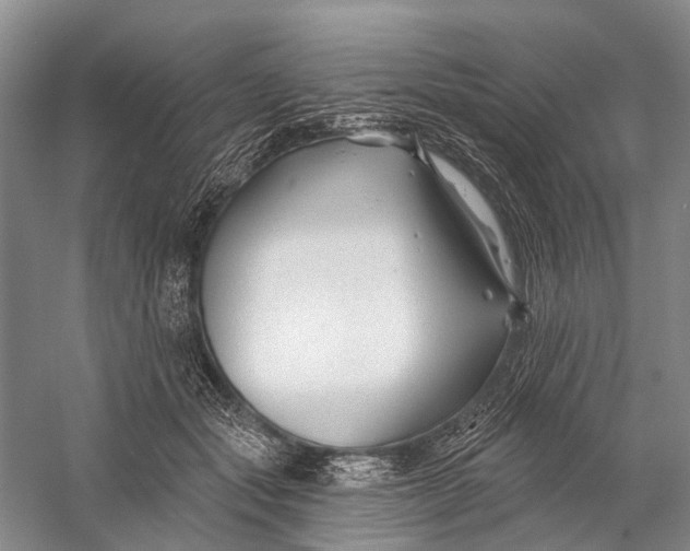 X0000058770557200510171229