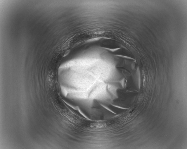 X0000058770559200510171229