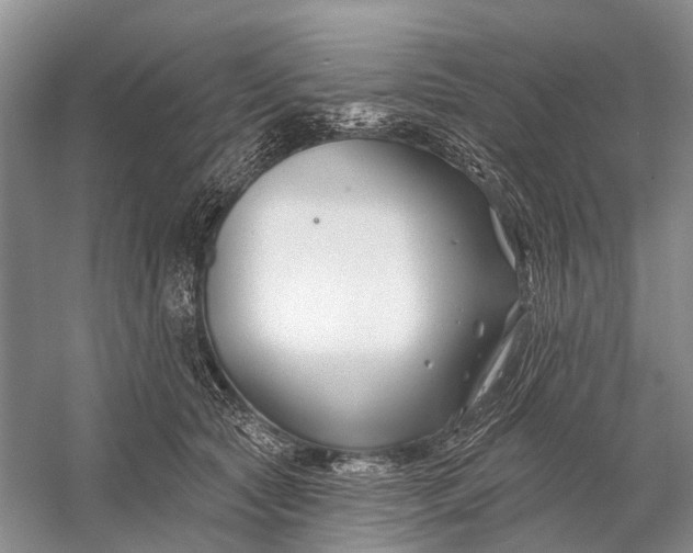 X0000058770561200510171229