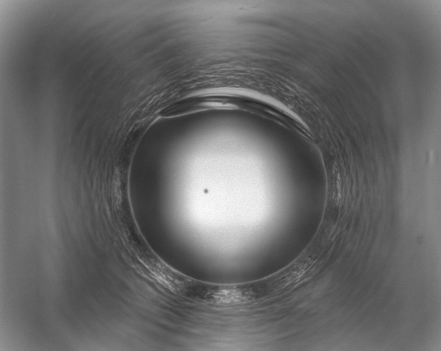 X0000058770562200510171229