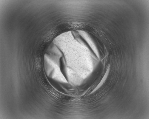 X0000058770563200510171229