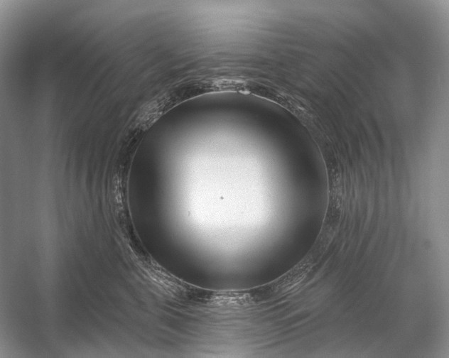 X0000058770571200510171229