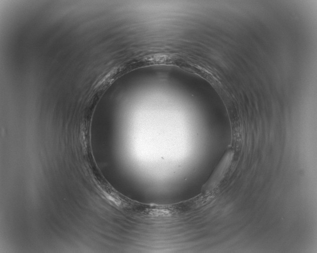 X0000058770572200510171229