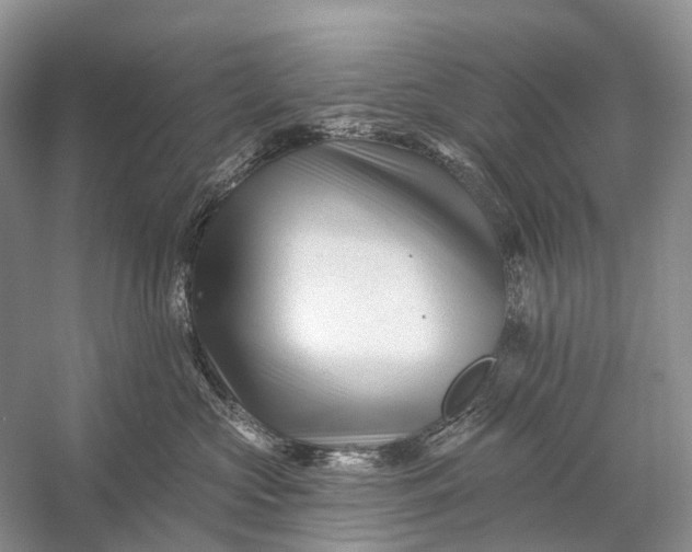X0000058770573200510171229
