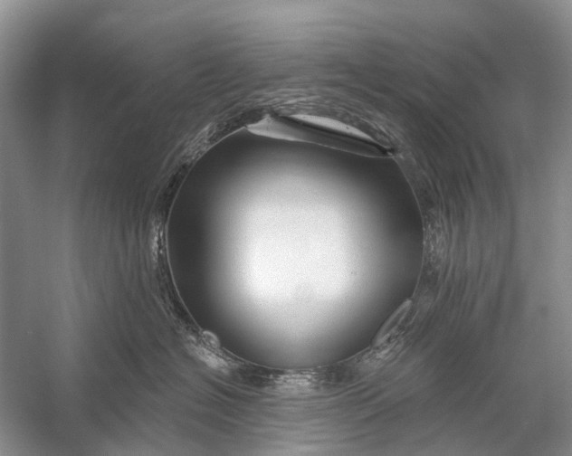 X0000058770574200510171229