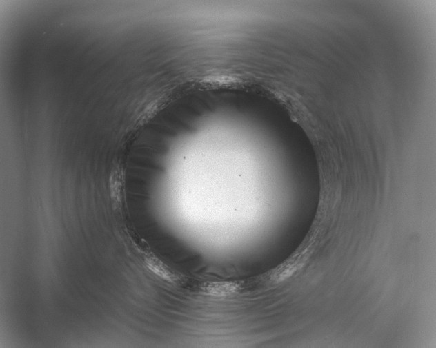 X0000058770576200510171229