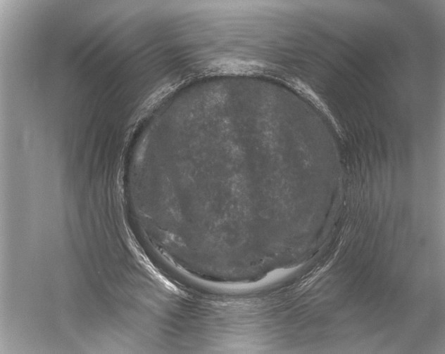 X0000058770581200510171228
