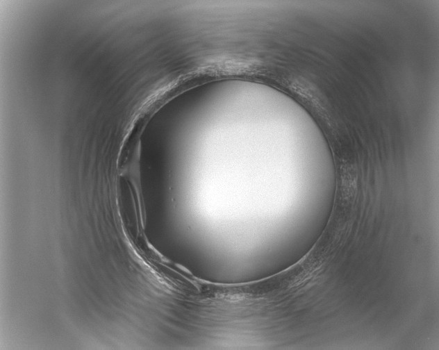 X0000058770582200510171228