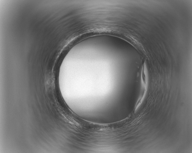 X0000058770584200510171228