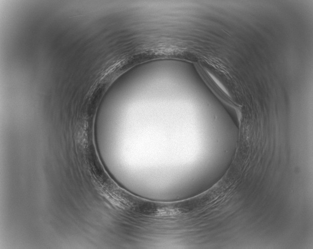 X0000058770591200510171228