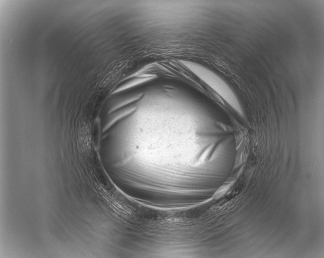 X0000058770593200510171228