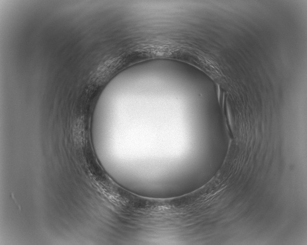 X0000058770594200510171228