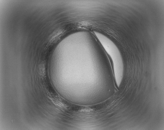 X0000058770595200510171228
