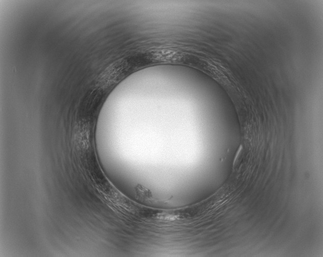 X0000058770602200510171228