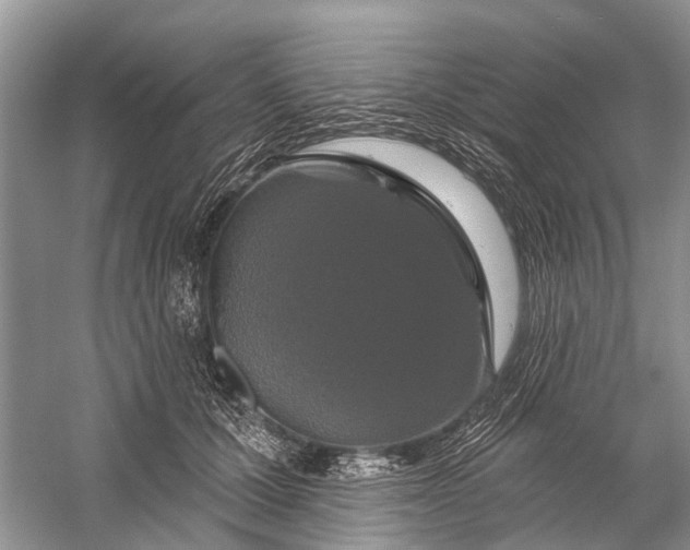 X0000058770607200510171228