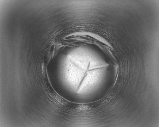 X0000058770609200510171228