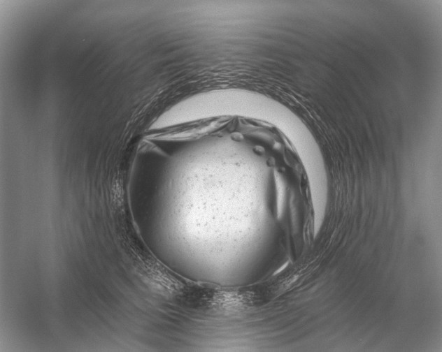 X0000058770613200510171228