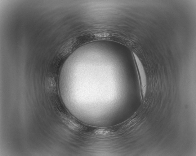 X0000058770614200510171228
