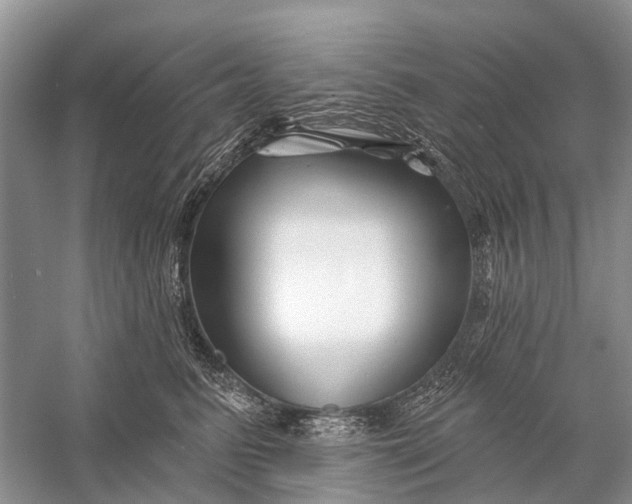X0000058770615200510171228