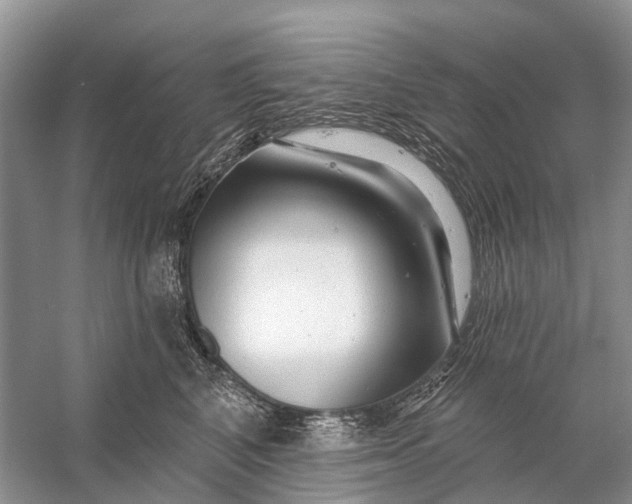 X0000058770616200510171228