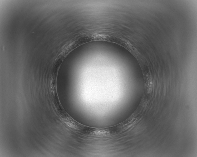 X0000058770619200510171228