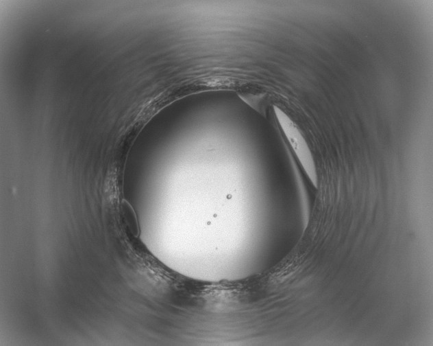 X0000058770620200510171228