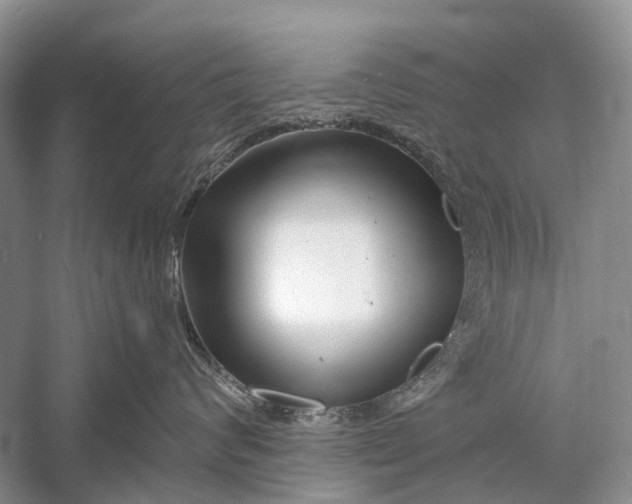 X0000058770624200510171228