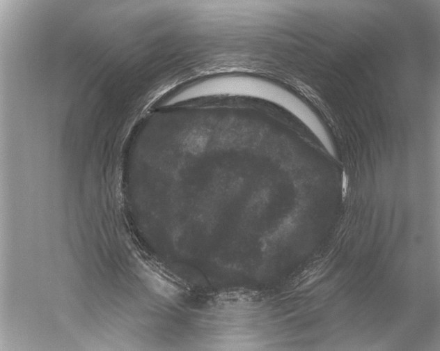 X0000058770627200510171227