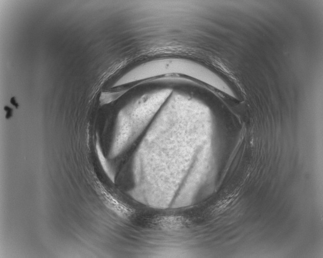 X0000058770637200510171227