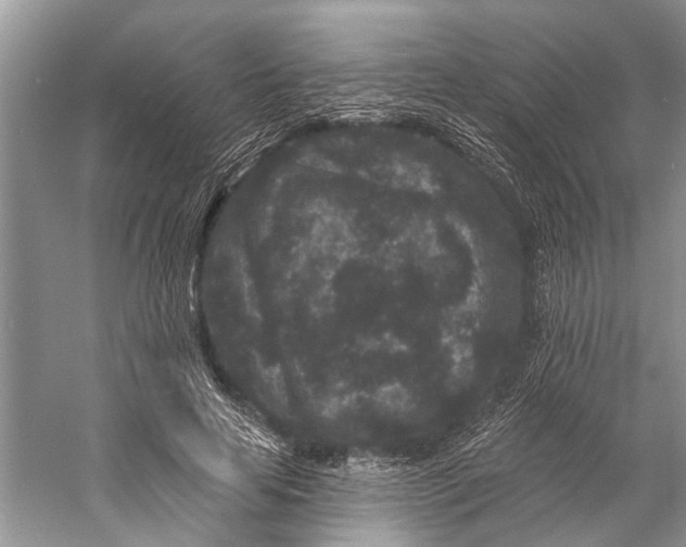 X0000058770641200510171227