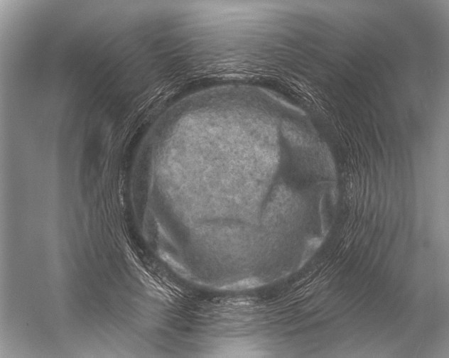 X0000058770643200510171227