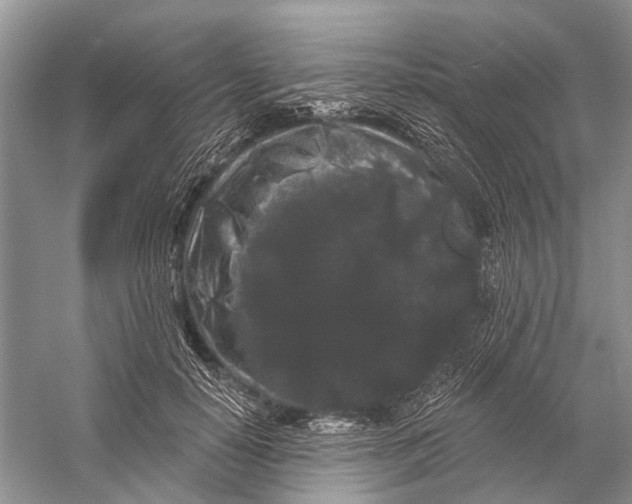 X0000058770650200510171227