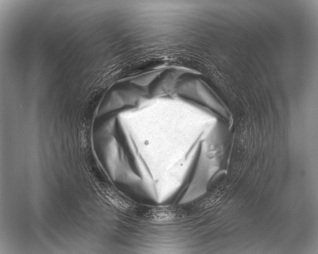 X0000058770658200510171227
