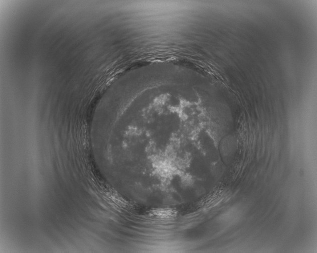 X0000058770659200510171227