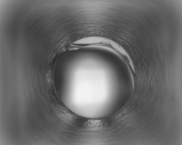 X0000058770665200510171228