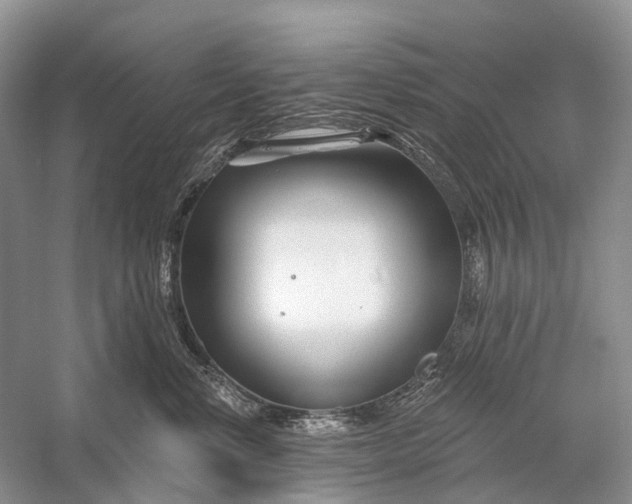 X0000058770668200510171228