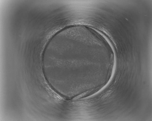 X0000058770673200510171227