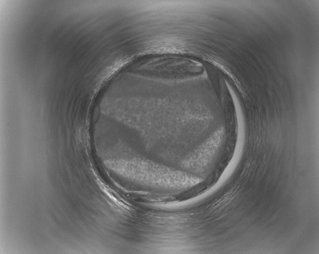 X0000058770677200510171227