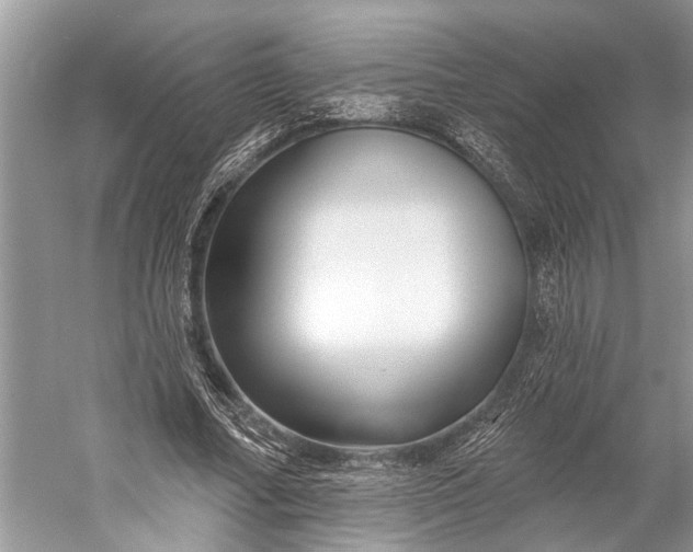 X0000058770682200510171227