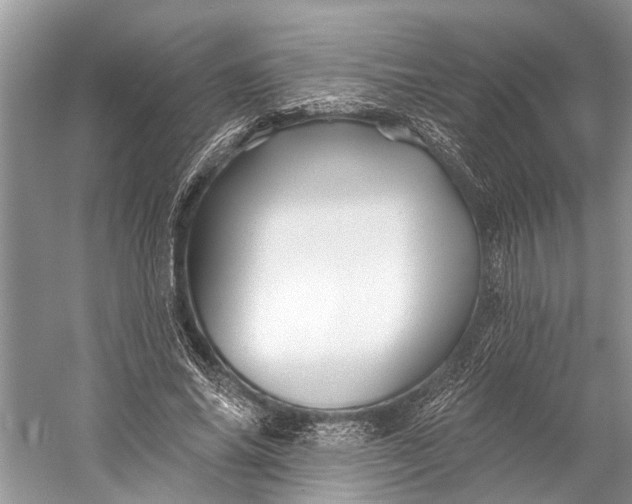 X0000058770686200510171227