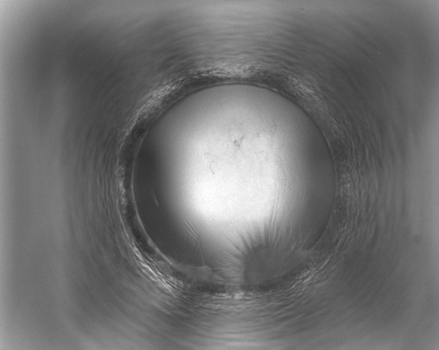 X0000058770688200510171227
