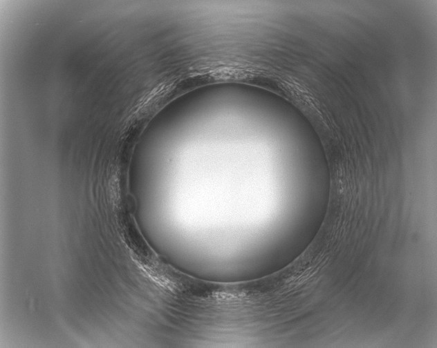 X0000058770690200510171227