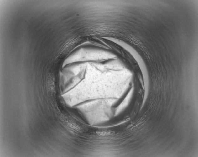 X0000058770693200510171226