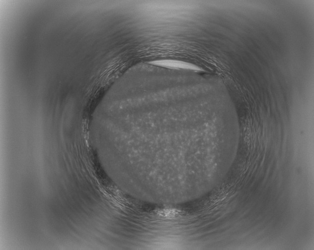 X0000058770695200510171226