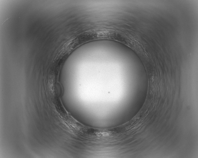 X0000058770698200510171226