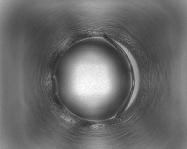 X0000058770700200510171226