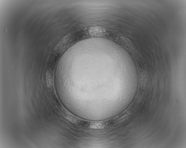 X0000058770705200510171226