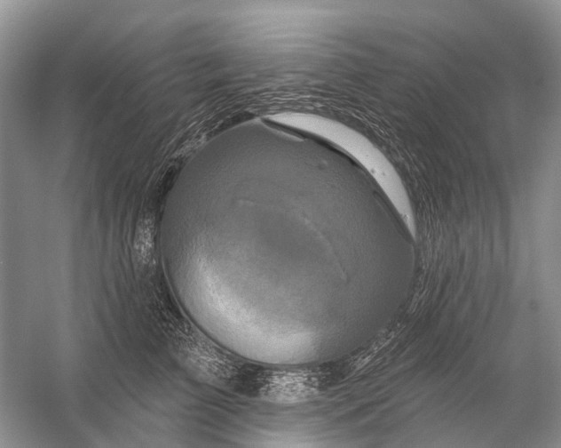 X0000058770709200510171226